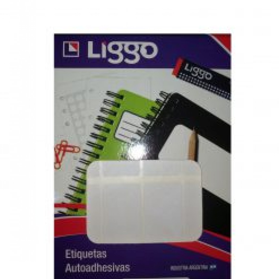 etiqueta-a6-liggo-4820-48x20-mmblanca-bolsa-x-30-hjs420-eti-84323