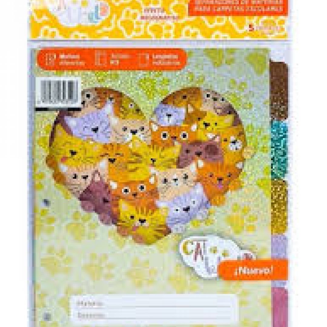 separador-escolar-n3-rexon-cat-world-x-5-unid-56822