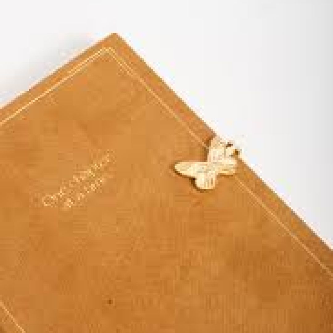 cuaderno-fw-butterfly-tapa-dura-cierre-iman-201012