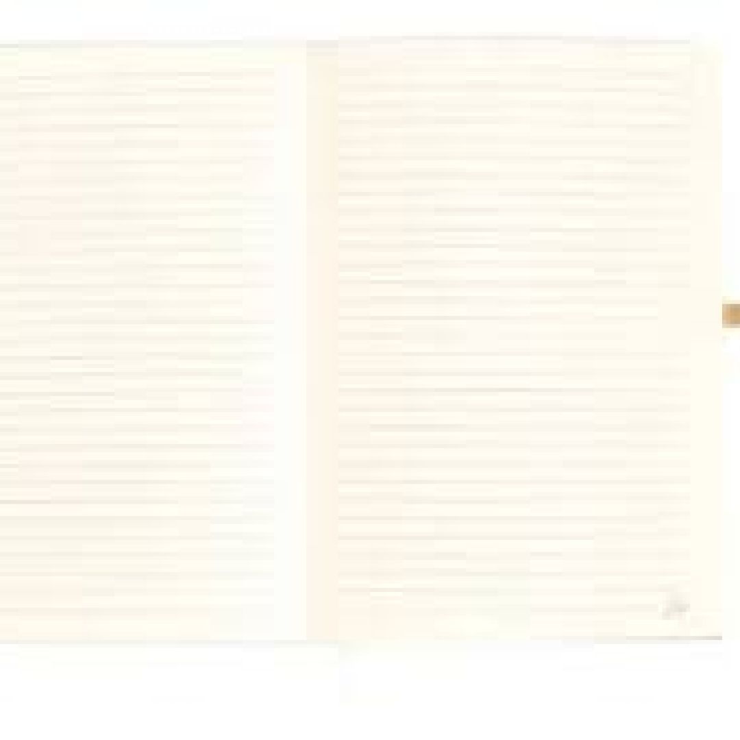 cuaderno-fw-butterfly-tapa-dura-cierre-iman-201012