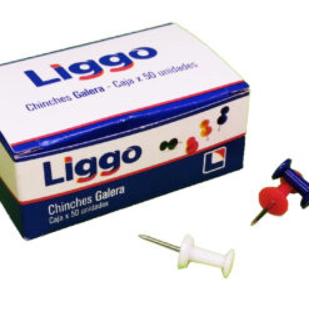 chinches-galera-liggo-x-50-unid-51706